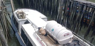 Alat Komunikasi Rusak, Dua Speedboat Antar Pulau Tabrakan di Perairan Karimun