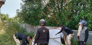 Masuk Masa Tenang Pemilu 2024, Petugas Gabungan Mulai Tertibkan APK di Karimun