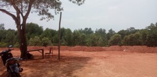 Dugaan Penimbunan Mangrove di Sambau, Bakal Dijadikan Lahan Kaveling