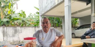 Pemerintah RI Siapkan Pembentukan Provinsi KNA dengan Cara Khusus