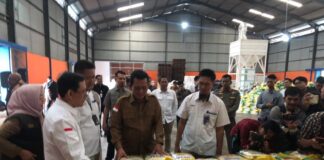 Stok Beras di Kepri Aman hingga 5 Bulan Mendatang stok beras di kepri