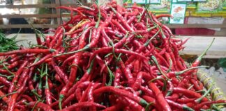 Menjelang Bulan Puasa Harga Cabai dan Tomat di Natuna Melambung harga cabai di natuna