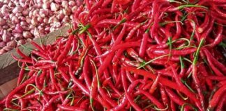 Cabai Merah Langka di Karimun, Harga Tembus Rp125 Ribu per Kg