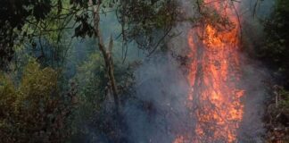 Empat Hektare Lahan dan Hutan di Desa Pongkar Karimun Terbakar