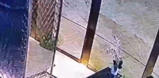 Manajemen Pollux Habibie Buka Suara Terkait Akses CCTv yang Jadi Polemik