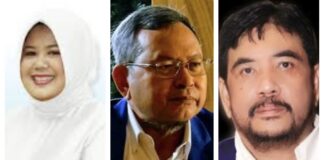 3 Figur yang Berpotensi Diusung NasDem di Pilkada Batam, Tak Ada Nama Amsakar