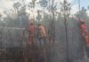 Damkar Natuna Padamkan Belasan Hektare Lahan Terbakar lahan terbakar natuna