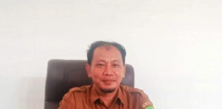 Jumlah Kasus DBD di Natuna Menurun kasus dbd di natuna