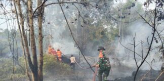6 Hektare Lahan di Bunguran Barat Terbakar, Diduga Sengaja Dibakar