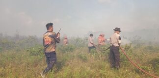 Damkar Natuna Padamkan Belasan Lahan Terbakar di Bunguran Selatan