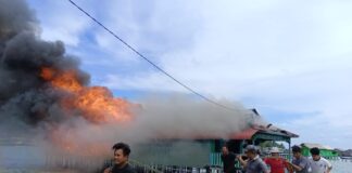 Kos di Sedanau Terbakar, Kerugian Mencapai Ratusan Juta Rupiah kos di sedanau terbakar