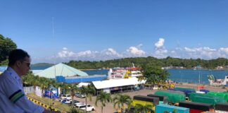 Puncak Arus Mudik Pelabuhan Roro Punggur Diprediksi Akhir Pekan Ini