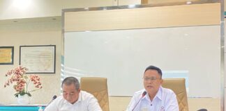 PLN Batam Siaga Lebaran, Ombudsman Kepri Minta Jaminan Listrik Tak Bermasalah