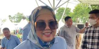 Terkait Maju Pilkada Batam, Marlin: Tunggu Tanggal Mainnya pilkada batam