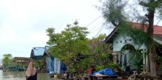 Waspada! Pesisir Karimun Besok Terancam Fenomena Banjir Rob