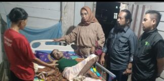 Alpena, Aksi Galang Dana Untuk Perawatan Medis