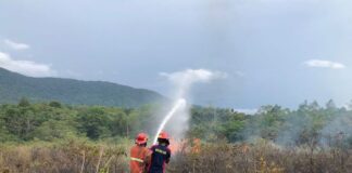 2 Hektare Lahan Milik Pemkab Natuna Terbakar lahan pemkab natuna terbakar