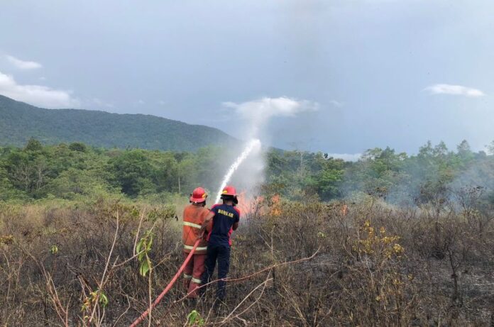 lahan pemkab natuna terbakar