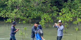 Tim BRGM RI Survei Hutan Mangrove di Kecamatan Subi hutan mangrove kecamatan subi