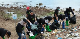 PLN Batam Gelar Aksi Bersih Pantai Tanjunguma