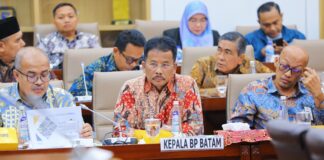 RDP bersama Komisi VI DPR RI, Rudi Optimistis Pertumbuhan Batam Capai Target