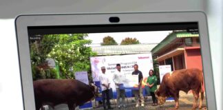 Sambungkan Senyum Telkomsel, Berbagi Berkah Idul Adha di 600 Lokasi