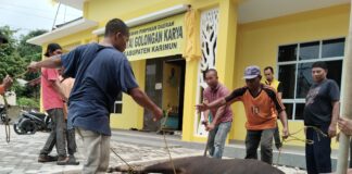 Momentum Idul Adha 2024, DPD Partai Golkar Karimun Sembelih 2 Ekor Sapi