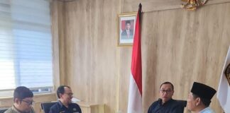 Menteri ESDM Pertimbangkan Cabut Izin Wilsus Listrik Zona 1 di Karimun, Ini Sebabnya !