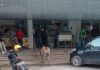 Seruduk Tiga Orang, Sapi Kurban Mengamuk di Kopitiam Pasir Putih sapi mengamuk di kopitiam