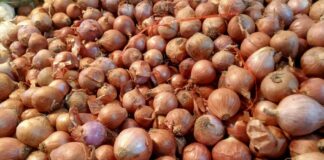 Sepekan Jelang Iduladha, Harga Cabai di Natuna Turun, Bawang Naik harga cabai di natuna