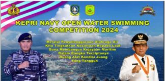 Pemprov Siap Ikut Sukseskan Navy Open Water Swimming Kepri 2024 Navy Open Water Swimming