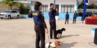 Peran Anjing Jack Russel Terrier Dibalik Pengungkapan 106 Kg Sabu