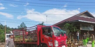 Truk Pengangkut Tabung Gas Elpiji di Karimun Terbalik di Jalan Raya