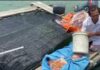 Kebutuhan Ikan Tawar di Batam 5 Ton per Hari