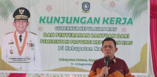 Ansar Dorong Cen Sui Lan dan Jarmin Supaya Mudah Cari Anggaran di Pusat