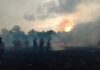 Setengah Hektare Lahan Milik Warga Natuna Terbakar