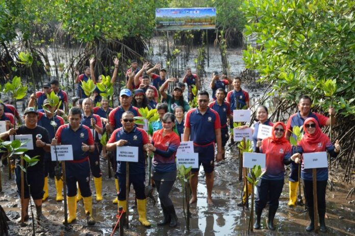 bakamla tanam mangrove di batam