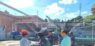 Wahyu Minta Dorongan Pemerintah Dukung Budidaya Lobster