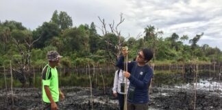 BRGM Verifikasi Mangrove di Dua Lokasi di Bunguran Utara