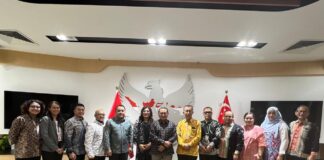Akselerasi Potensi Investasi, BP Batam Audiensi dengan Kedutaan Besar Indonesia untuk Singapura