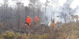 BPBD Natuna Lakukan Pemetaan dan Sosialisasi Antisipasi dan Bentuk Desa Tanggap Bencana