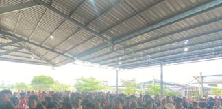 Sejumlah Penumpang Gagal Berangkat Tumbur Sesalkan Pelni Tak Berikan Solusi