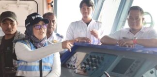 Pelni Rencanakan Beli 3 Kapal Penumpang Senilai Rp4,5 Triliun