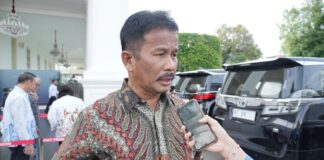 Presiden Tekankan Efisiensi, BP Batam Siapkan Langkah Strategis
