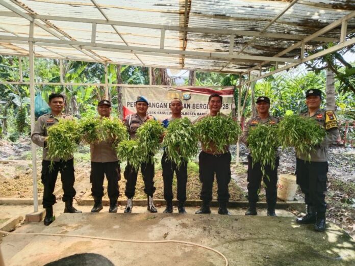 Polsek Sagulung Panen Kangkung