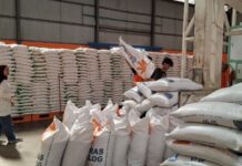 Bulog Batam Pastikan Stok Beras SPHP Aman hingga Empat Bulan ke Depan