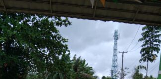 BPBD Tanjungpinang Evakuasi 800 Jiwa dari 10 Titik Banjir