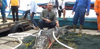 Data Awal Lima Buaya Lepas, Polsek Bulang: Itu Statemen Perusahaan buaya lepas pulau bulan