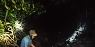 Kepala BP Batam Apresiasi Gerak Cepat Tim Terpadu Penangkapan Buaya Pulau Bulan