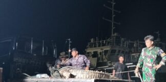 DPRD Batam Minta Tindakan Cepat dan Kompensasi untuk Nelayan Akibat Buaya